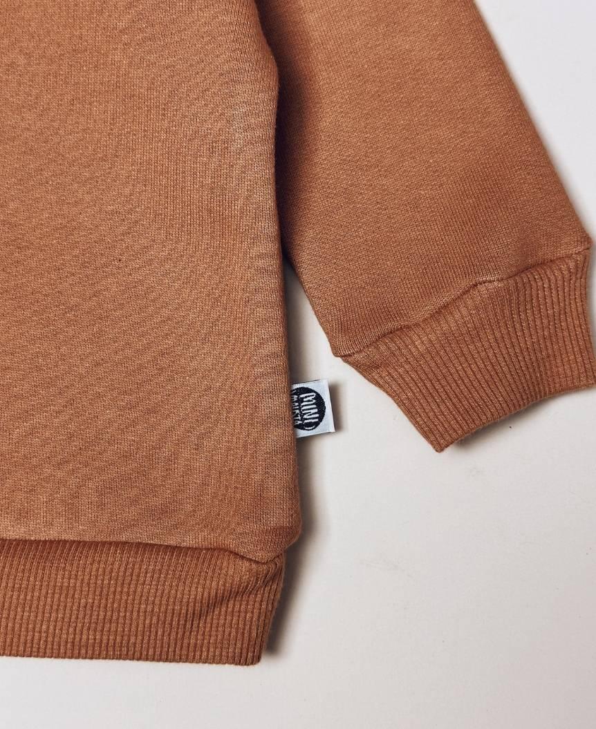 Moletom Básico Peluciado | Liso Ginger