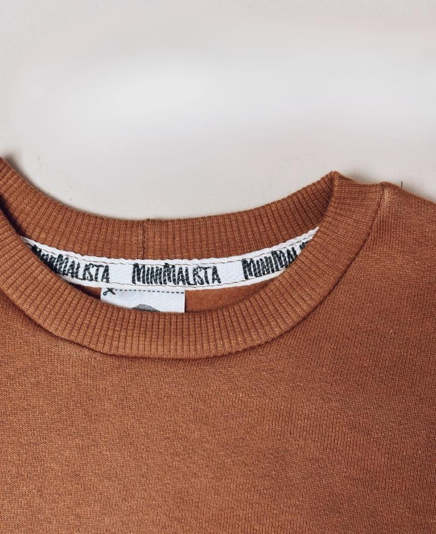 Moletom Básico Peluciado | Liso Ginger