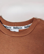 Moletom Básico Peluciado | Liso Ginger